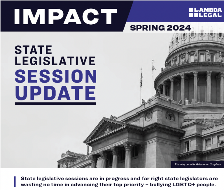 publications-archive-lambda-legal